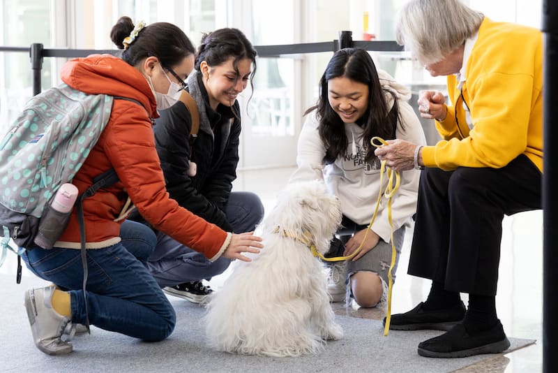 Student pet a dog at a pet therapy event.